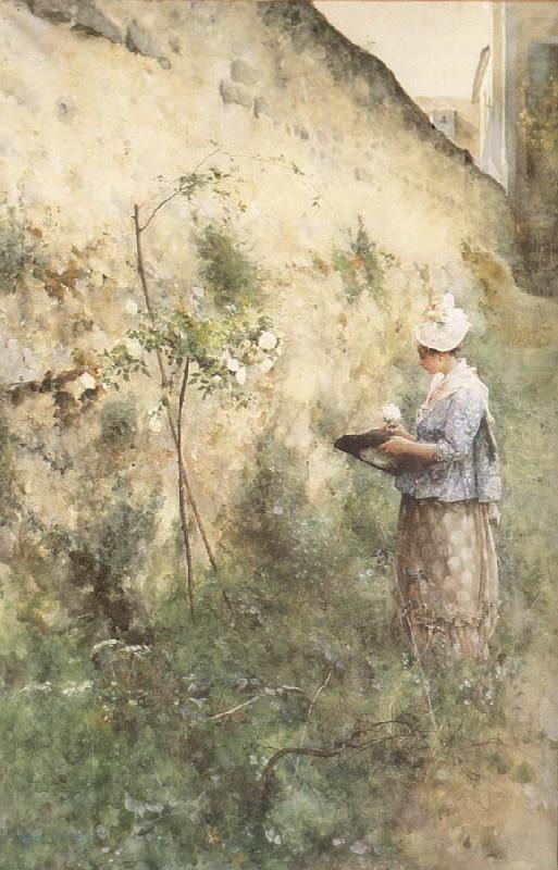 The Old Wall, Carl Larsson